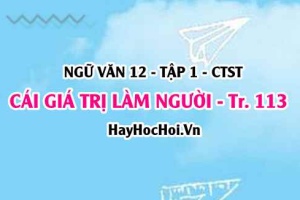 Soạn bài Cái giá trị làm người trang 113, 114, 115, 116, 117 Ngữ văn 12 Chân trời sáng tạo
